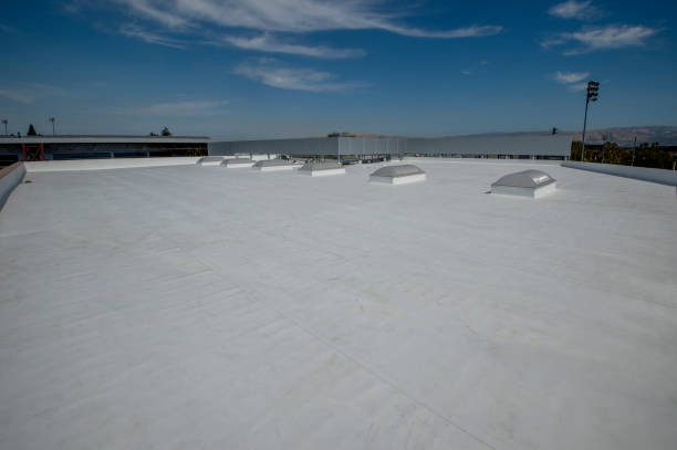 Best Gutter Installation and Repair  in St Martins, MO