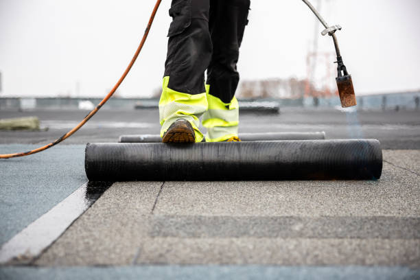 Best Metal Roofing Installation  in St Martins, MO
