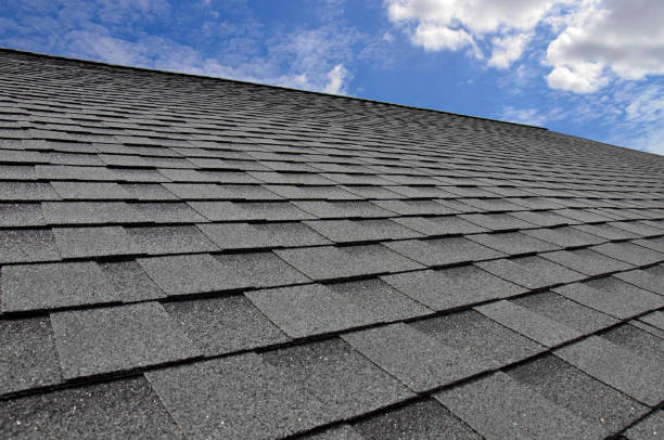 Best Roof Leak Repair  in St Martins, MO
