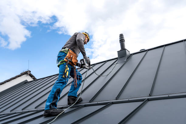 Best Solar Panel Roofing Installation  in St Martins, MO